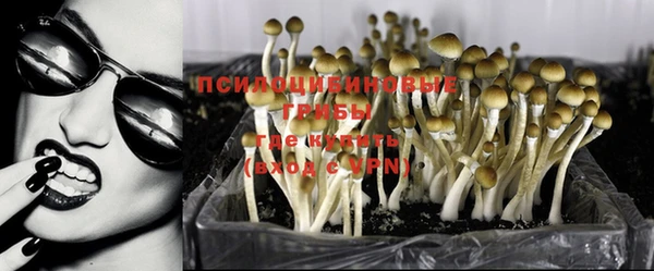 2c-b Алзамай