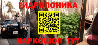 молекула духа Дубна