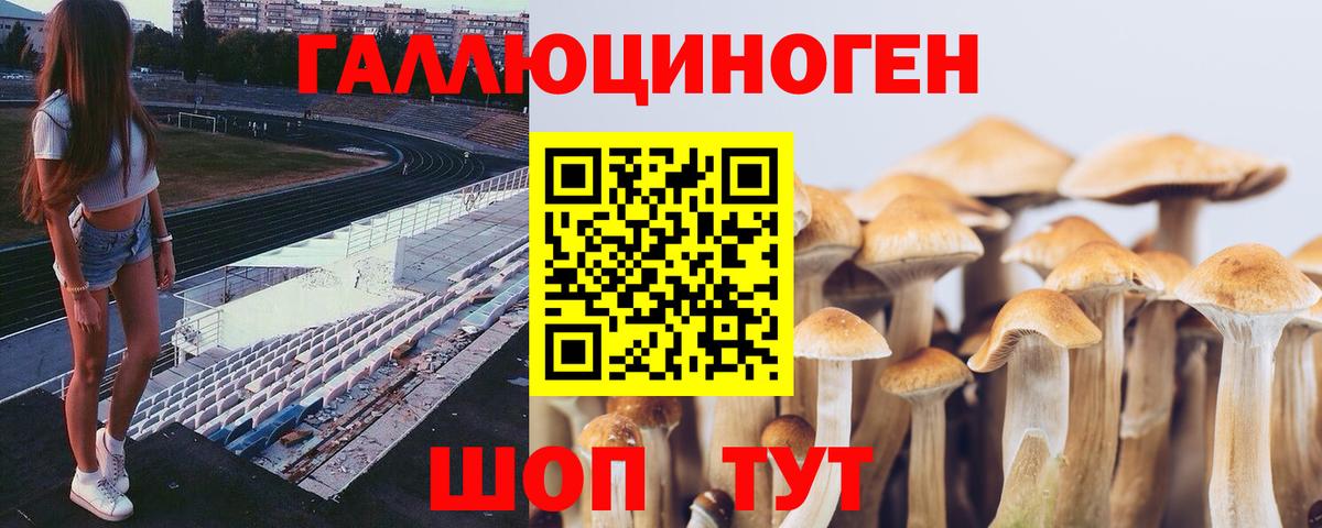 Галлюциногенные грибы прущие грибы Добрянка